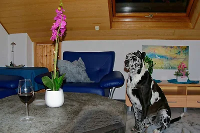 Vakantieappartement Gezinsvakantie Diebach