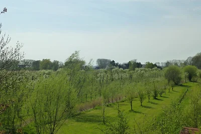 Appartement Vacances avec la famille Drochtersen Krautsand