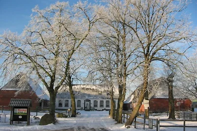 Gartenwohnung 3