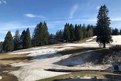Appartamento Vacanza con famiglia Feldberg