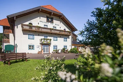 Albergo Cultura ed escursioni Koppl Salzburg
