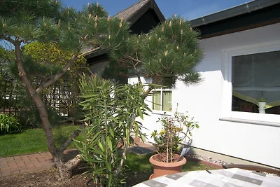 Vakantieappartement Gezinsvakantie Ulrichshorst