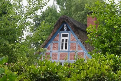 Vakantieappartement Gezinsvakantie Worpswede