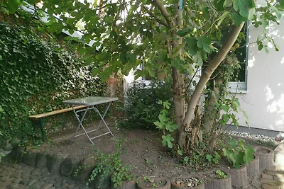 Kuća za odmor Dopust za oporavak Neustadt in Holstein