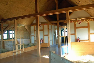 Schlafplatz in Heukoje ( Box 2)