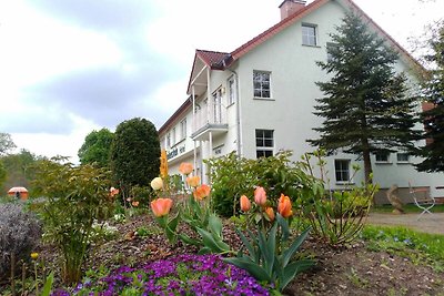 Hotel Cultuur en bezienswaardigheden Jerichow