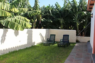 Vakantiehuis Ontspannende vakantie Tazacorte