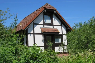 Ferienhaus 213 Deichgraf 65qm bis 6 Personen ...