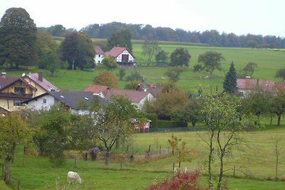 Vakantieappartement Gezinsvakantie Oberzent