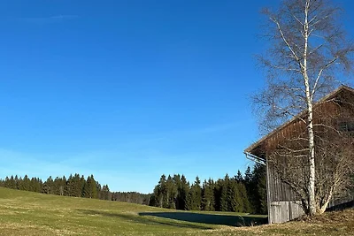 Wiesenblick