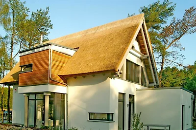 Haus 15