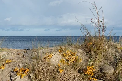 Vakantieappartement Gezinsvakantie Lütjenburg
