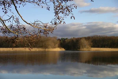 Vakantieappartement Gezinsvakantie Rheinsberg
