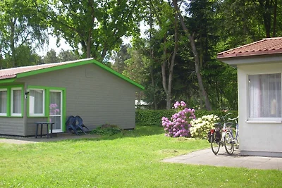 Vakantieappartement Gezinsvakantie Trassenheide