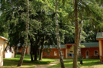 Hotel Cultuur en bezienswaardigheden Ückeritz