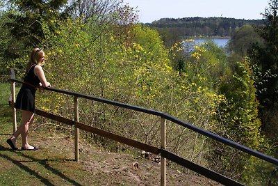 Vakantieappartement Gezinsvakantie Feldberger Seenlandschaft