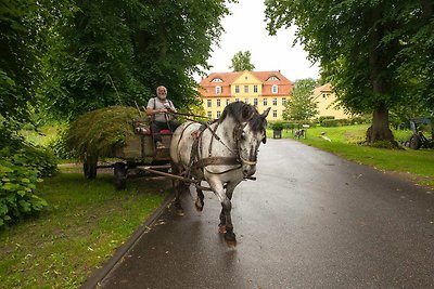 Slot/Kasteel Vakantieparken en clubs Walkendorf