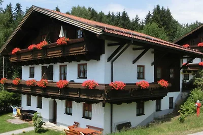 Hotel Cultuur en bezienswaardigheden Hauzenberg