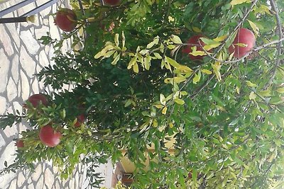 Appart mit 4 Betten : kleiner Balkon und gros...