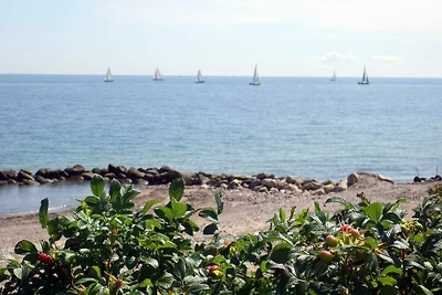 Appartamento Vacanza con famiglia Brodersby
