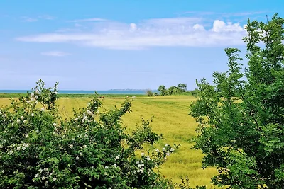 Vakantieappartement Gezinsvakantie Borgsum