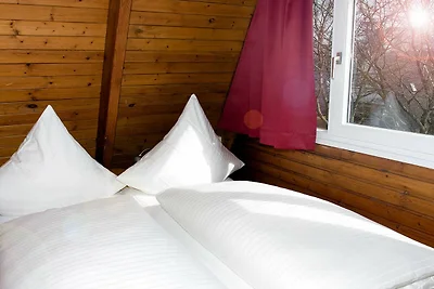Albergo Cultura ed escursioni Damp