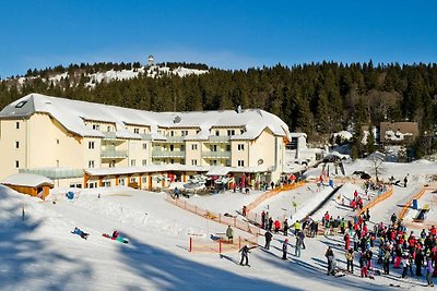 Vakantieappartement Gezinsvakantie Feldberg