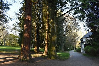 Hotel Cultuur en bezienswaardigheden Kressbronn