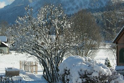 Vakantieappartement Gezinsvakantie Abersee