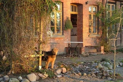 Vakantieappartement Gezinsvakantie Neu Gargendorf