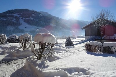 Vakantieappartement Gezinsvakantie Zellberg