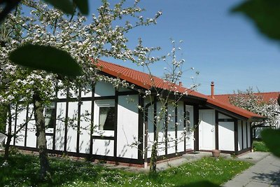 Ferienhaus 116 Kogge 60qm bis 4 Personen mit...