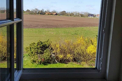 Sandkörnchen Haus Faltings Whg 3 OG mit...
