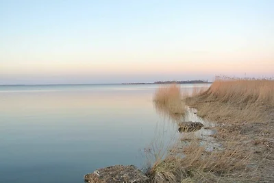 FischLANDinSicht