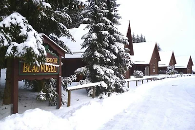 Hotel Cultuur en bezienswaardigheden Oberharz am Brocken