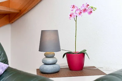 Vakantiehuis Ontspannende vakantie Carolinensiel