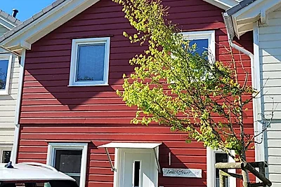 DAG-913 - Komfort-Ferienhaus mit Sauna nahe...