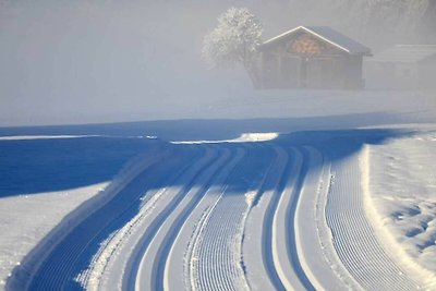 Vakantieappartement Gezinsvakantie Au in Vorarlberg