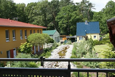 Hotel Cultuur en bezienswaardigheden Zempin