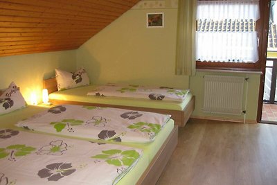 Vakantieappartement Gezinsvakantie Bräunlingen