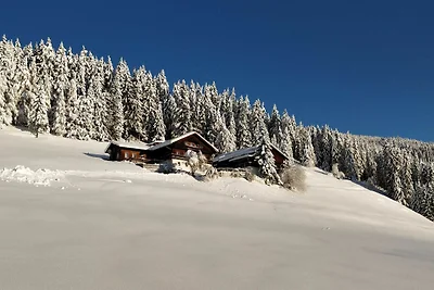 Vakantieappartement Gezinsvakantie Assling