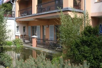 (292) 2- Raum- Appartement-Strandstrasse