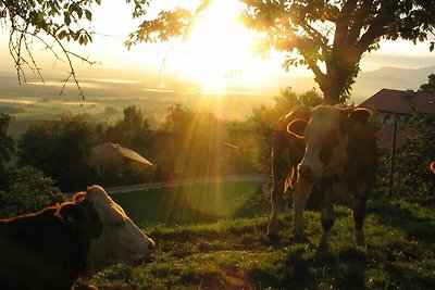 Sonnenaufgang