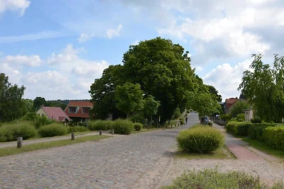 Vakantieappartement Gezinsvakantie Carwitz
