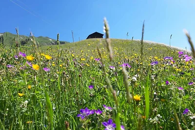 Dreibettzimmer Alpenrose