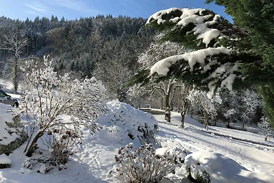 Vakantieappartement Gezinsvakantie Waldkirch