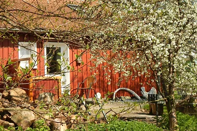Ferienwohnung Schreinerhaus