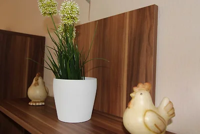 Vakantieappartement Gezinsvakantie Rhauderfehn