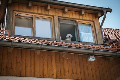 Vakantieappartement Gezinsvakantie Diessen am Ammersee