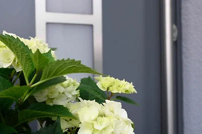 Vakantieappartement Gezinsvakantie Bodenwerder